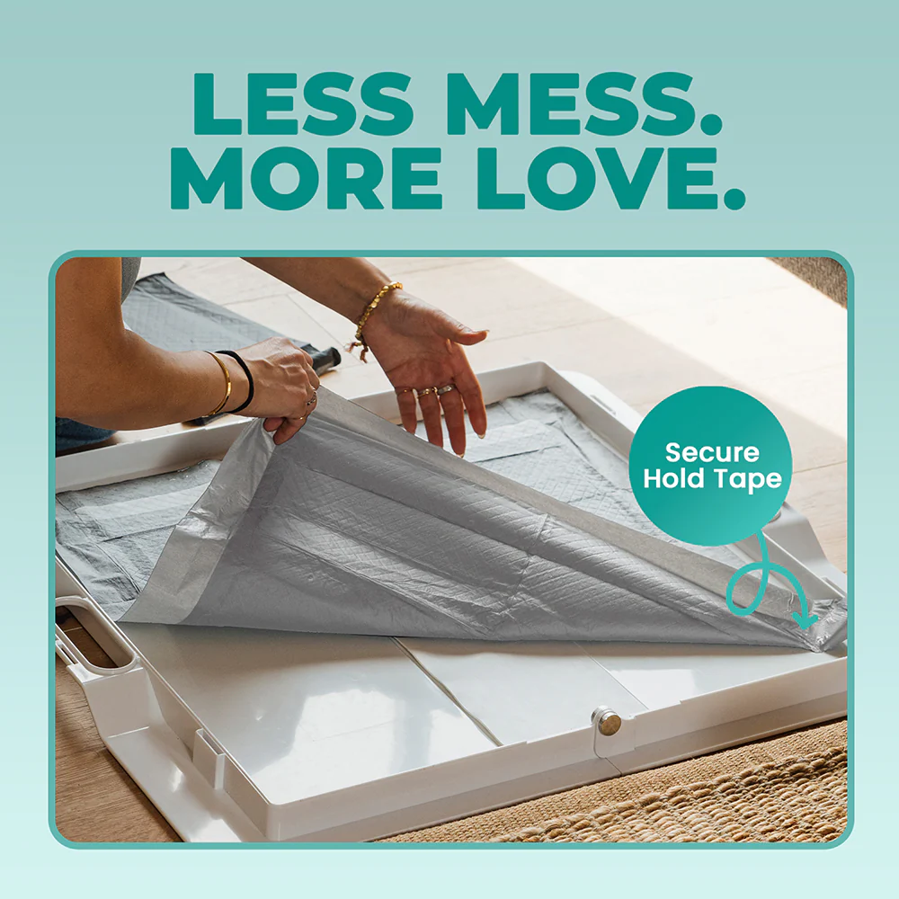 Odor-Filtering Charcoal Pee Pads - Image 5