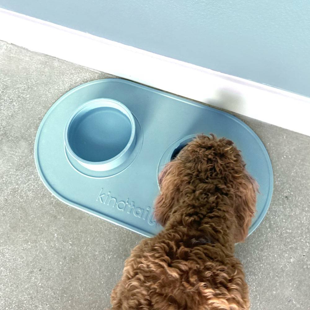 Portable & Travel Dog Bowl - Image 22