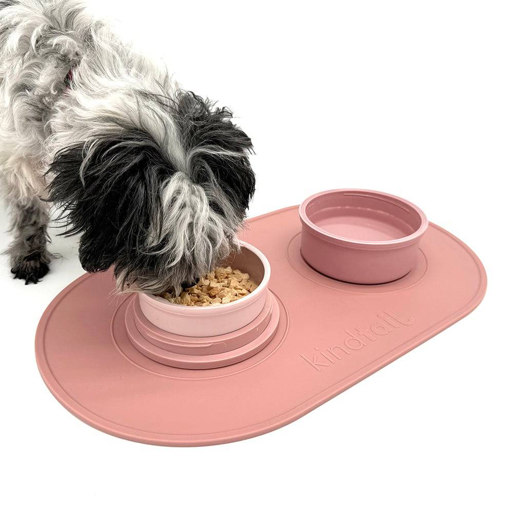 Portable & Travel Dog Bowl - Image 13