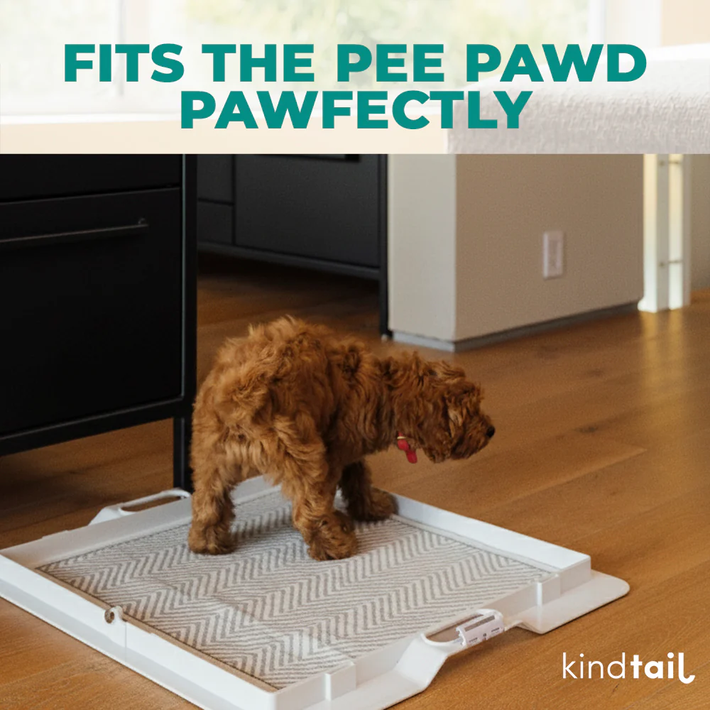 Lovewag Washable Dog Pee Pads - Image 3