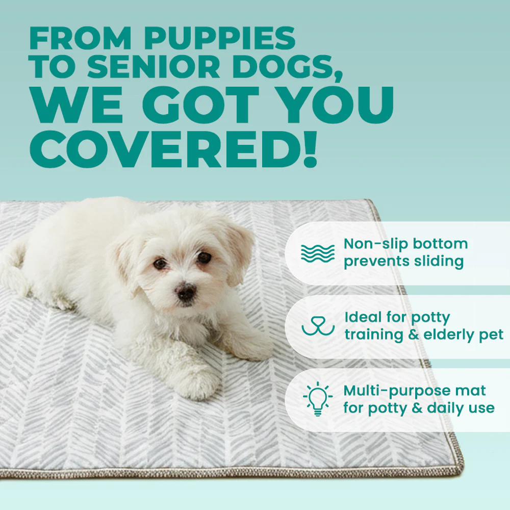 Lovewag Washable Dog Pee Pads - Image 4