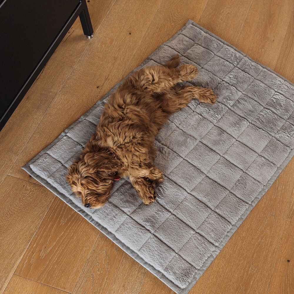 NomadNap Travel & Portable Dog Bed - Image 12