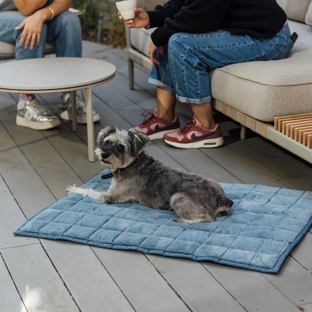NomadNap Travel & Portable Dog Bed - Image 3