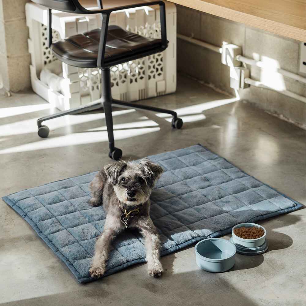 NomadNap Travel & Portable Dog Bed - Image 4