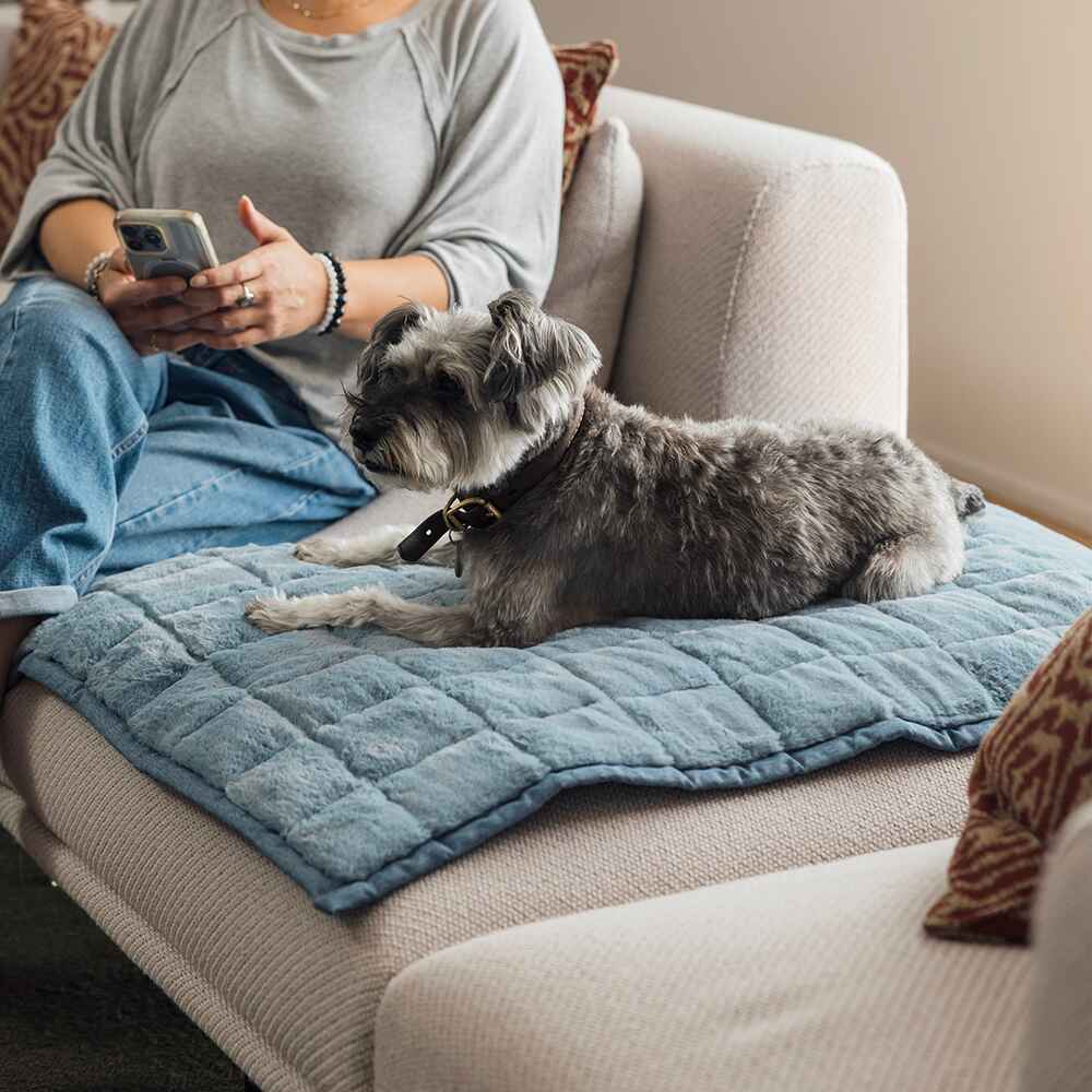 NomadNap Travel & Portable Dog Bed - Image 6