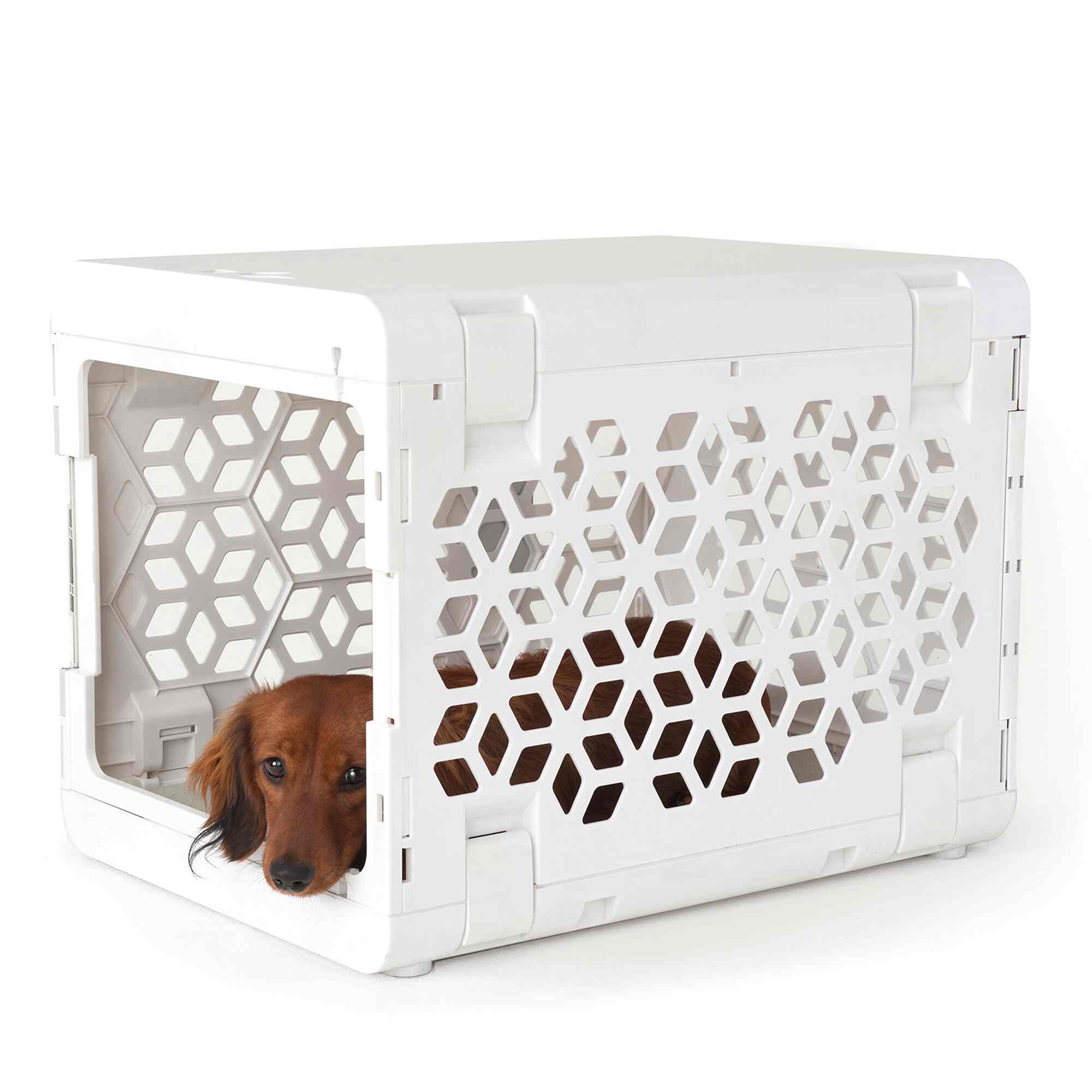 PAWD®  Modern Collapsible Dog Crate - Image 10