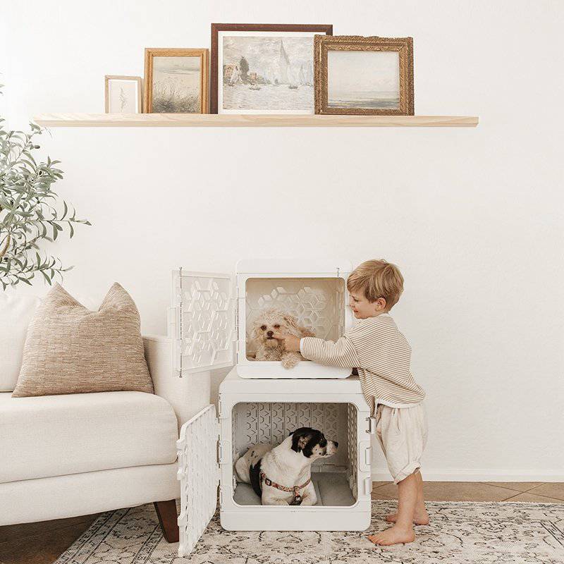 PAWD®  Modern Collapsible Dog Crate - Image 7