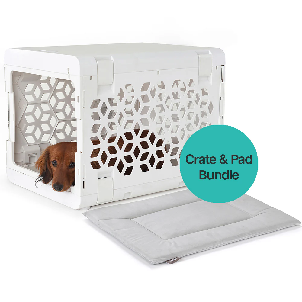Puppy Bundle PAWD® Dog Crate - Image 33