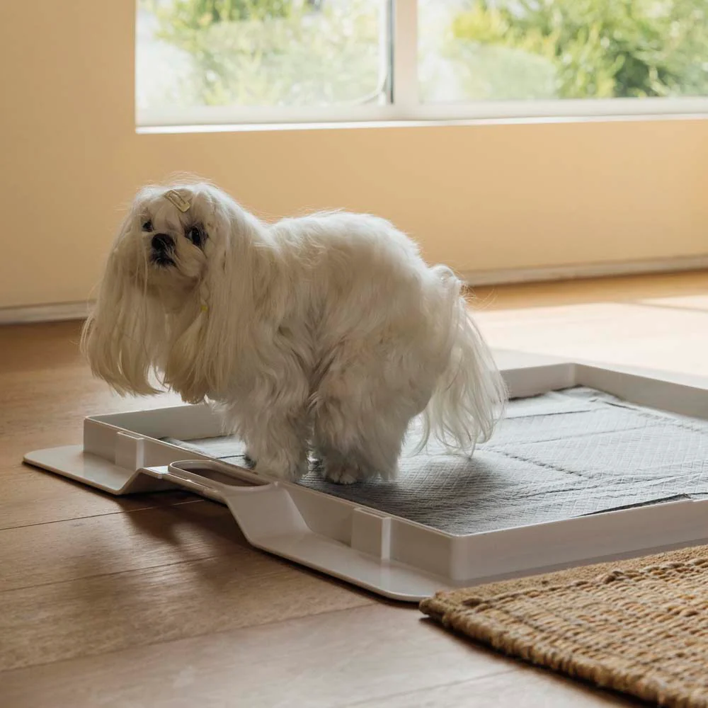 Pee PAWD® Pee Pad holder - Image 16
