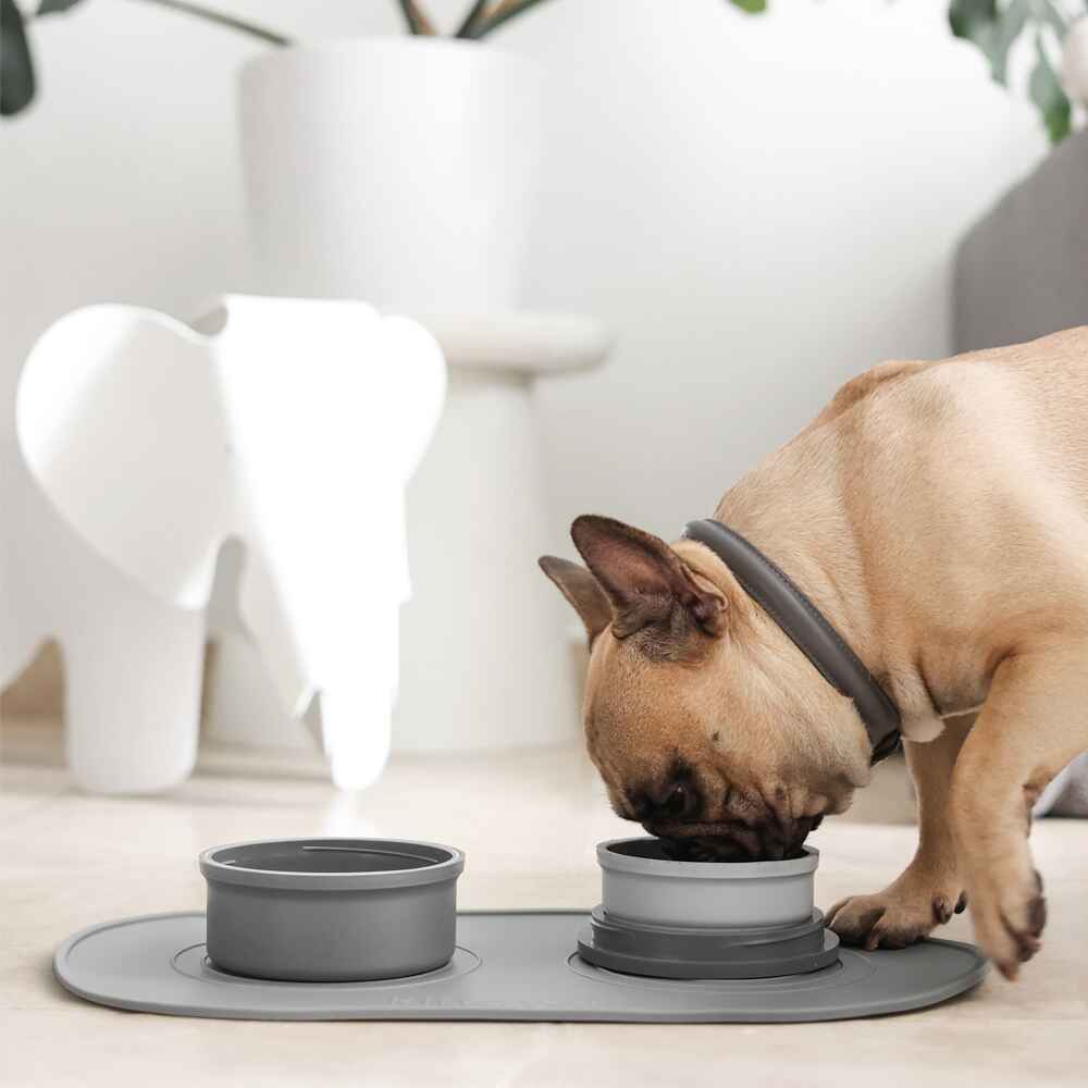 Portable & Travel Dog Bowl - Image 17
