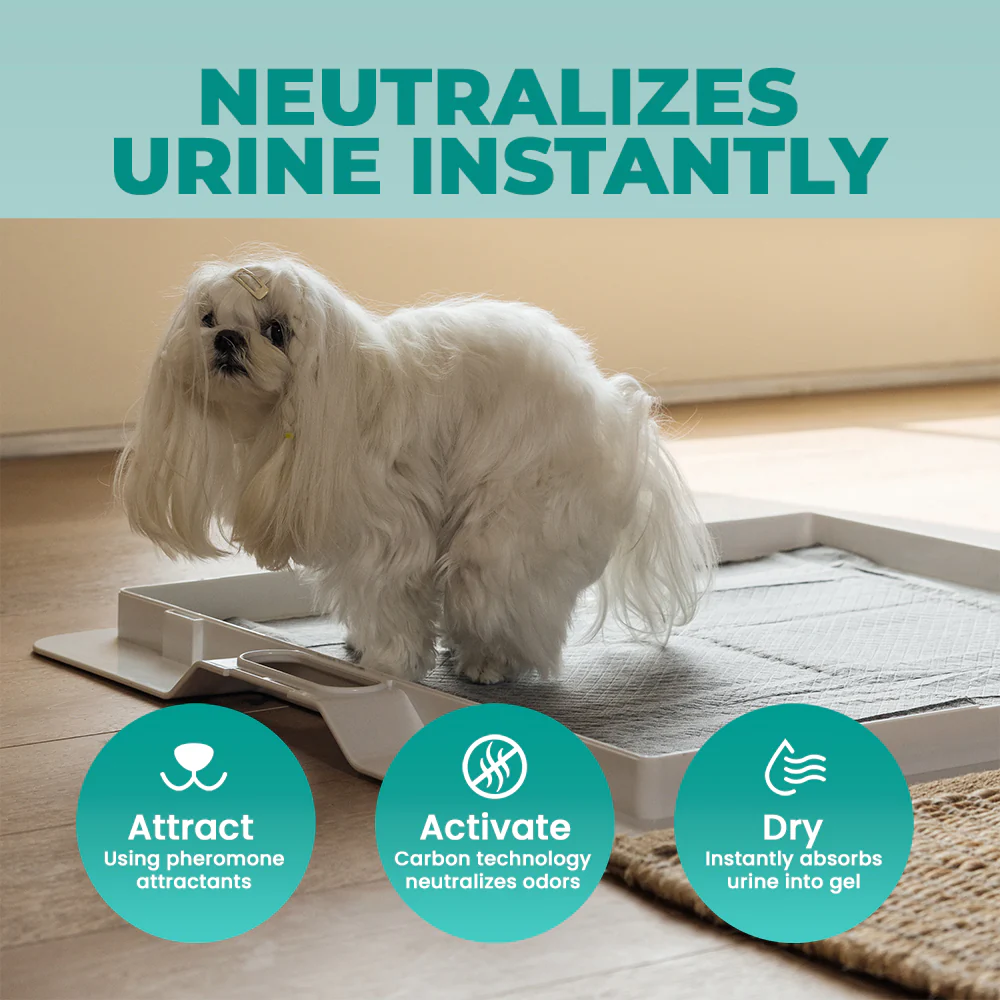 Potty Training Bundle - Image 10