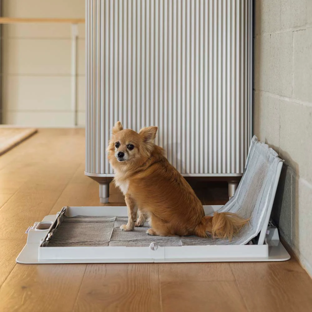 Potty Training Bundle - Image 13