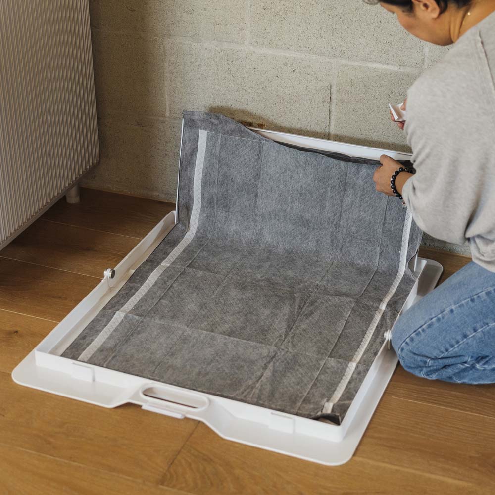 Potty Training Bundle - Image 14