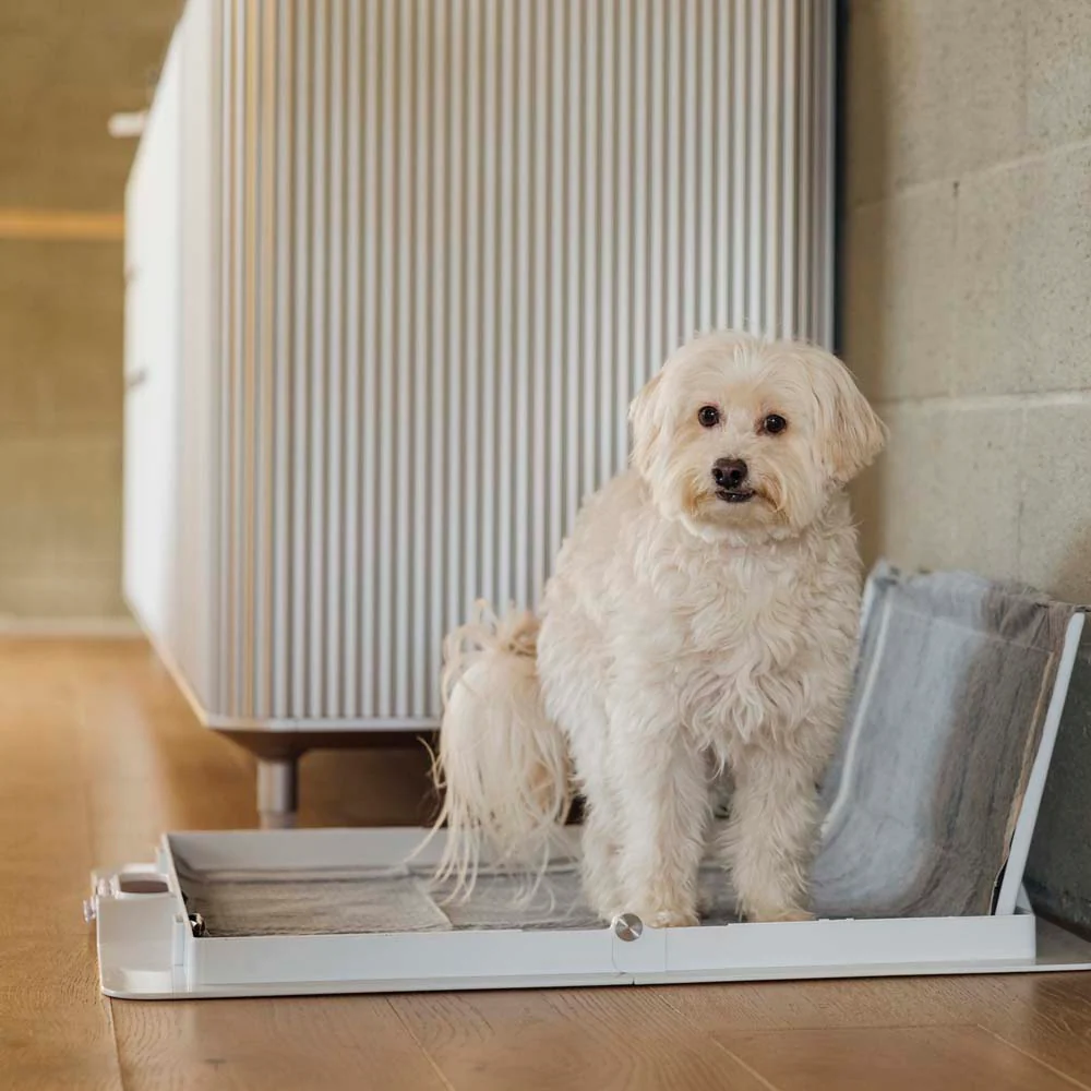 Potty Training Bundle - Image 15