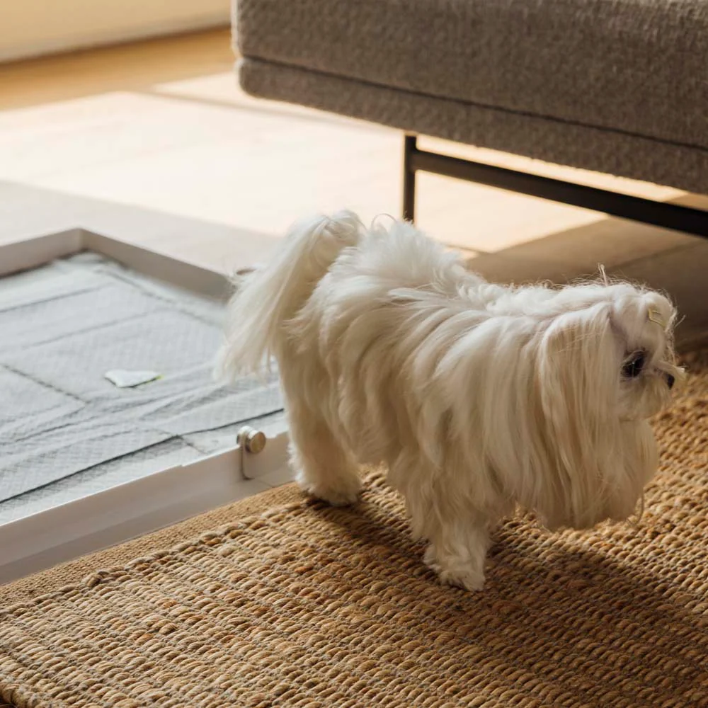 Potty Training Bundle - Image 16