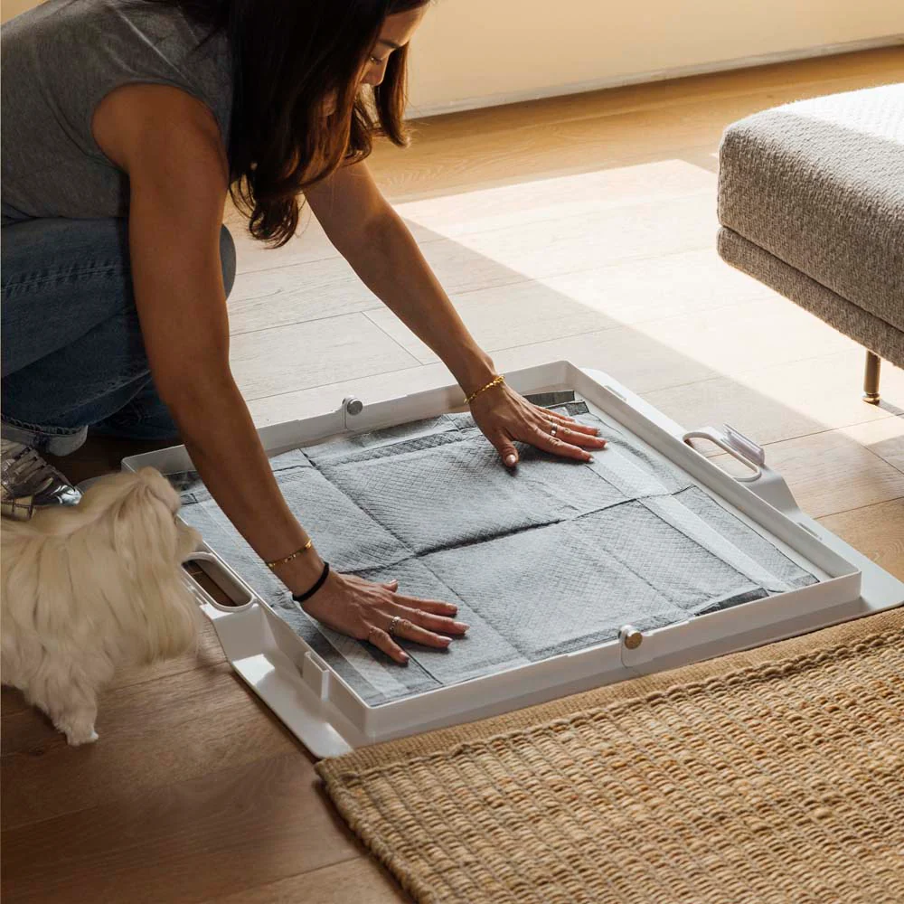 Potty Training Bundle - Image 17