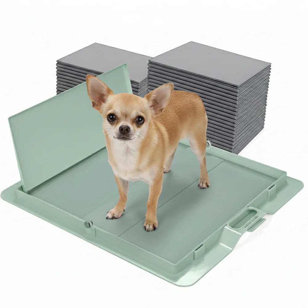 Potty Training Bundle - Image 18