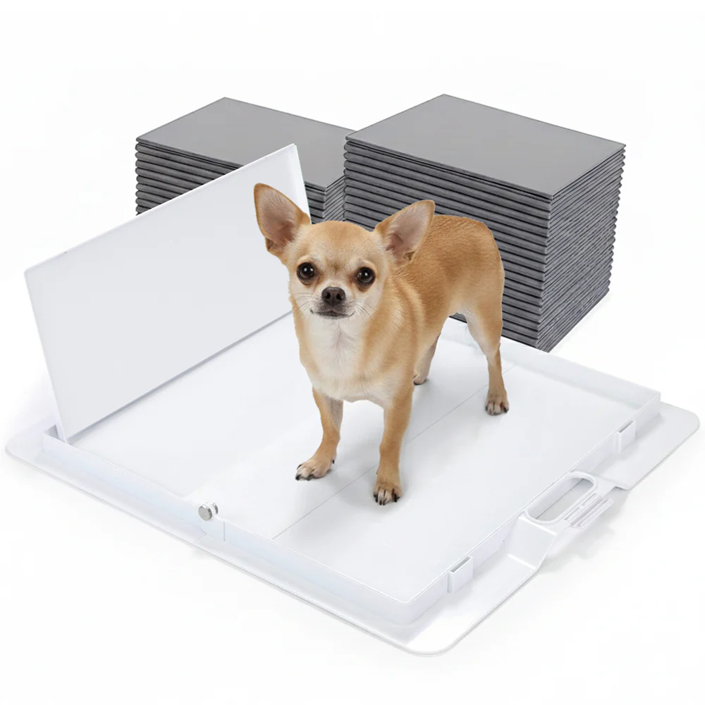 Potty Training Bundle - Image 19