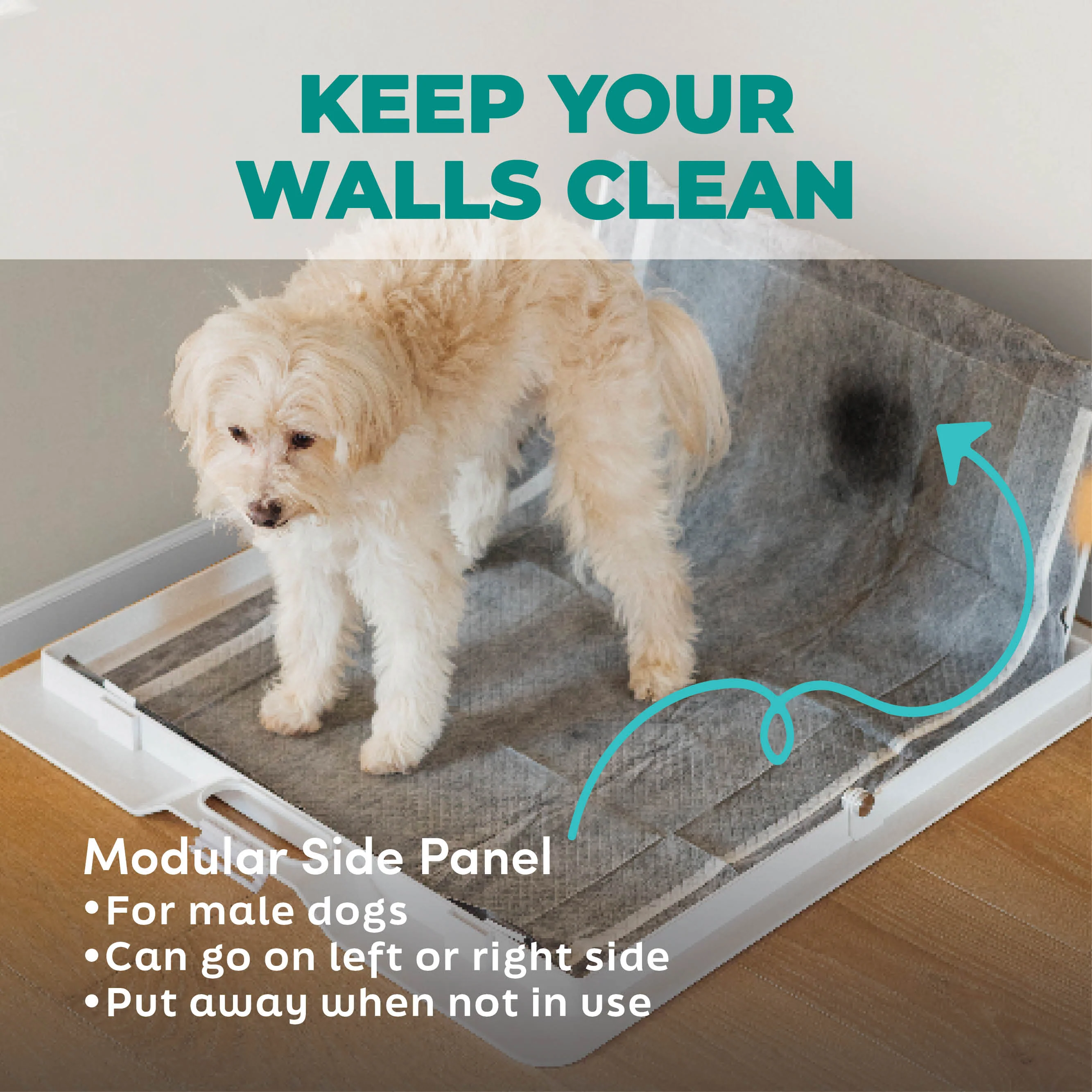 Potty Training Bundle - Image 7