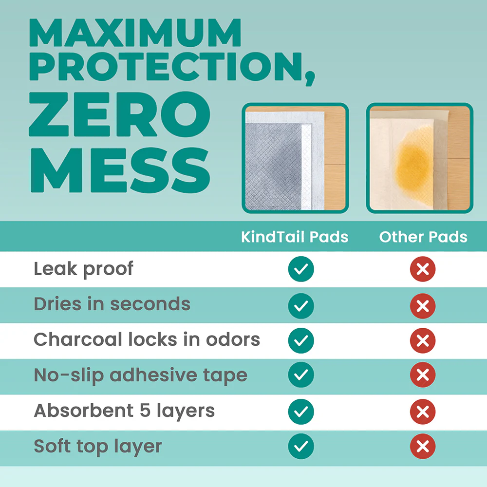 Potty Training Bundle - Image 8